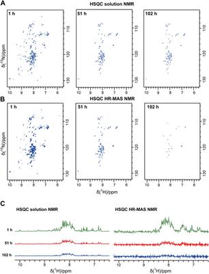 Amyloid fibril formation kinetics of low-pH denatured bovine PI3K-SH3 monitored by three different NMR techniques